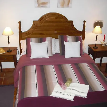 아파트 El Picacho In The Countryside 2 Km From The 테예나