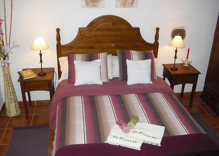 Apartment El Picacho In The Countryside 2 Km From The Tejina