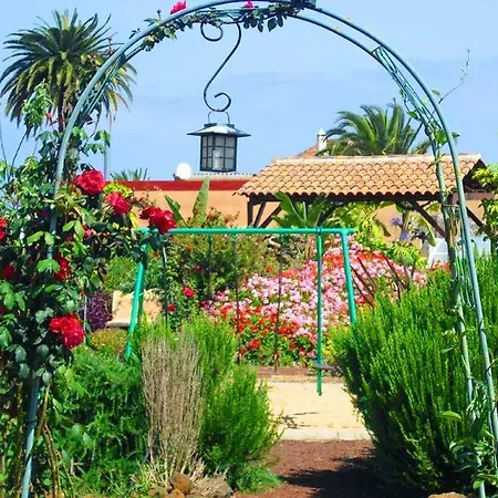 Apartment El Picacho In The Countryside 2 Km From The Tejina