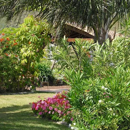 Apartment El Picacho In The Countryside 2 Km From The
