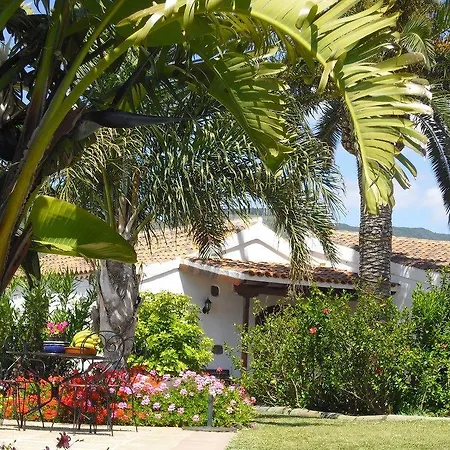 Apartment El Picacho In The Countryside 2 Km From The Tejina